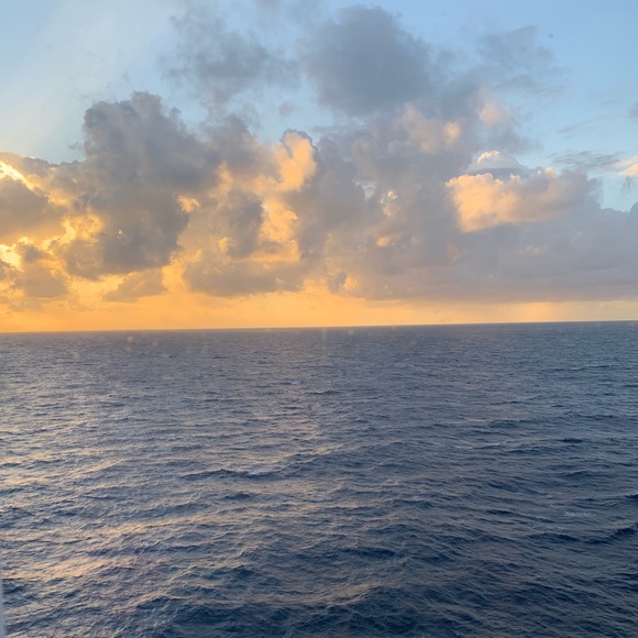 Meet your Posher, Hannah - Picture 1 of 1